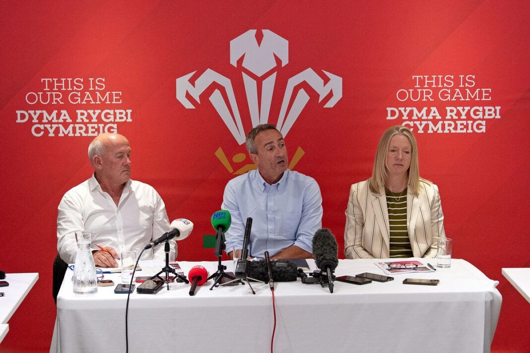 Dragons owner accuses WRU of ‘scaremongering’ after union’s shock move to shut down EGM