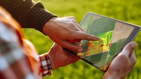 Syngenta Group A tablet computer shows a map of a farm with someone pointing to a particular field.