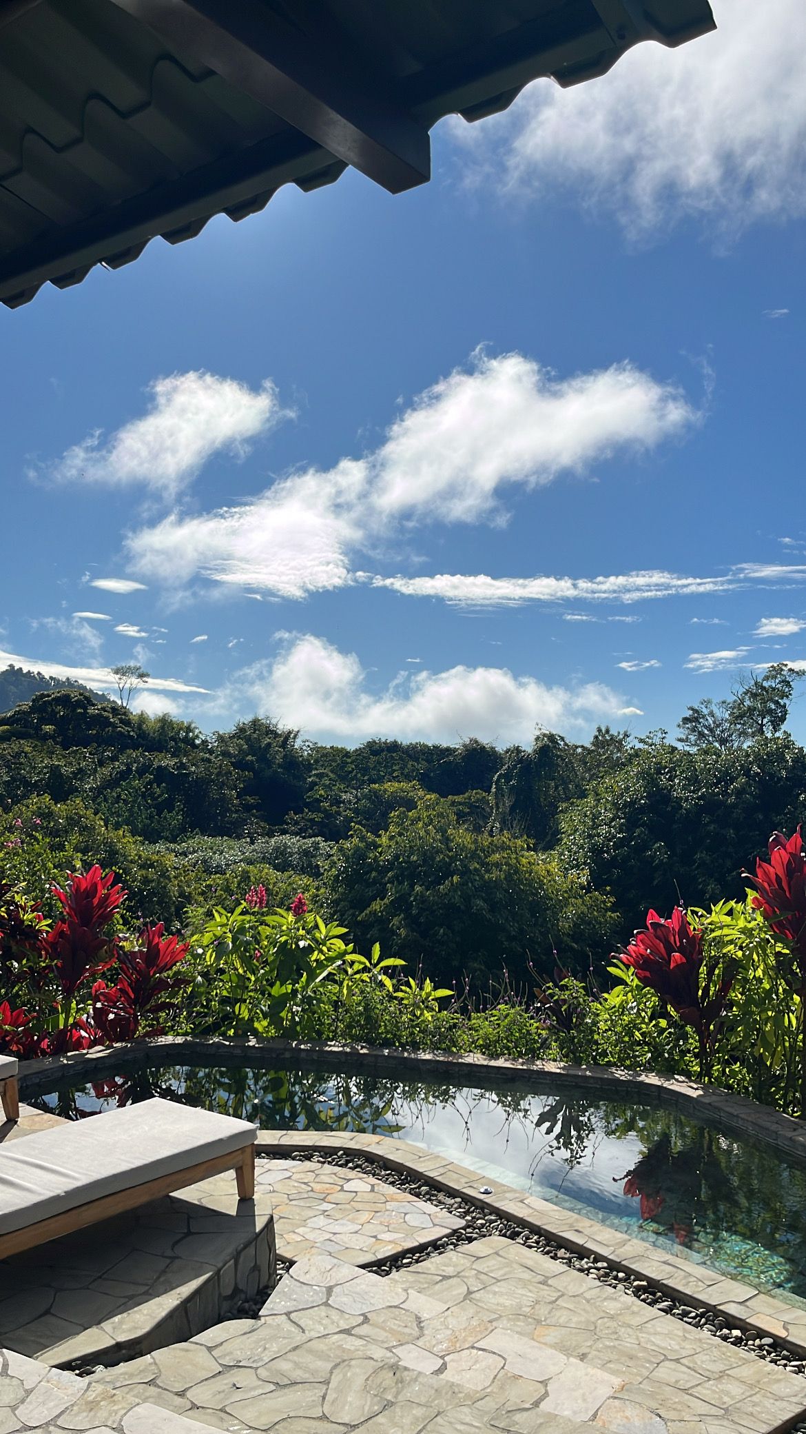Image may contain Plant Vegetation Land Nature Outdoors Rainforest Tree Woodland Sky Scenery Cloud and Jungle