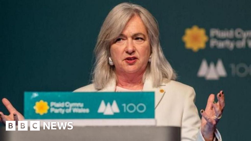 Plaid MP broke rules inadvertently, says watchdog