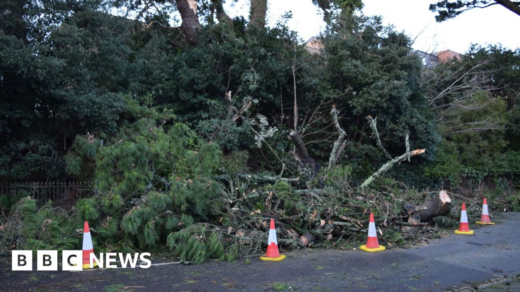 Man dies after tree falls onto caravan during Storm Goretti