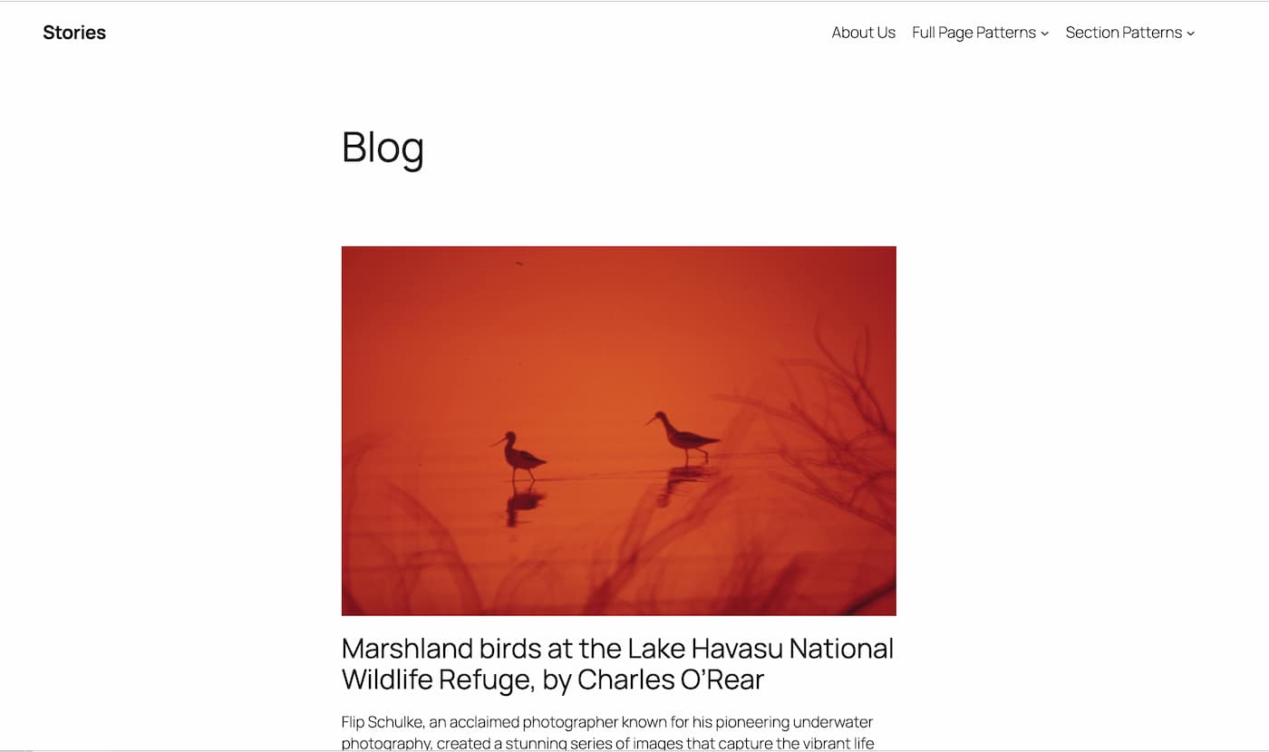 Twenty Twenty-Five WordPress Theme Homepage Design