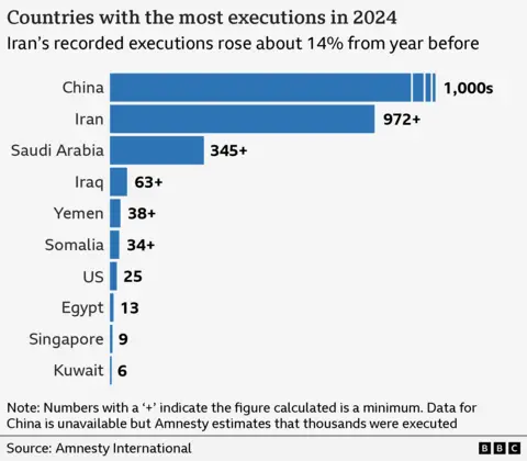 Who is Erfan Soltani, Iranian protester reportedly facing execution?