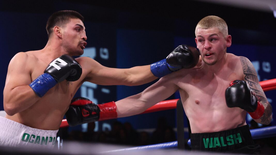 Walsh wins on Zuffa Boxing opening night