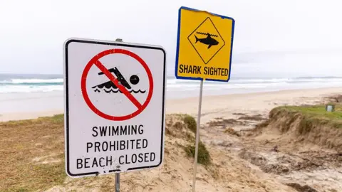 Four attacks in 48 hours: How east Australia’s beaches became a ‘perfect storm’ for sharks