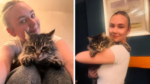 Delight at return of cat stolen by delivery driver