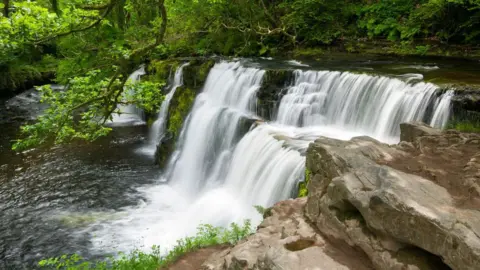 Getty Images A series of waterfalls flowing down a small rock edge, with white foam at the bottom. Tree branches hang low over the waterfall.