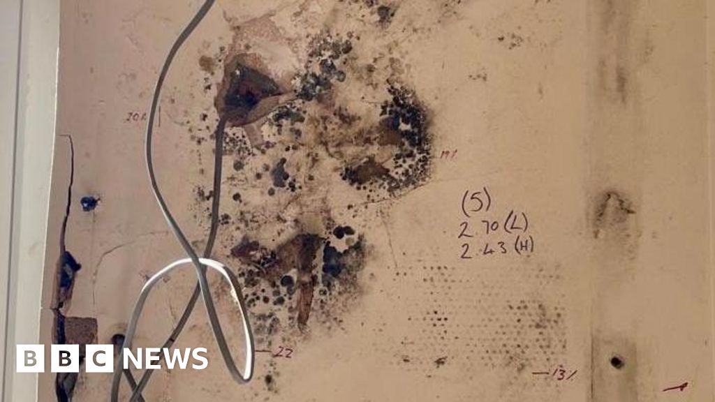 Botched insulation scheme was ‘doomed to fail’, say MPs