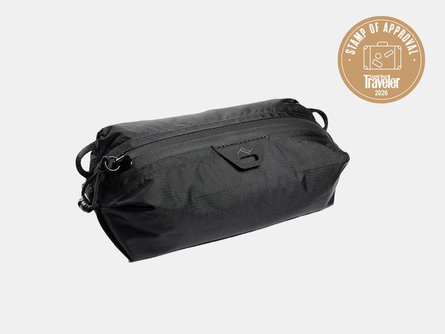 Image may contain: Bag, Accessories, and Handbag