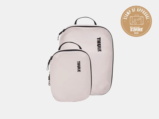 Image may contain: Bag, Backpack, Accessories, and Handbag