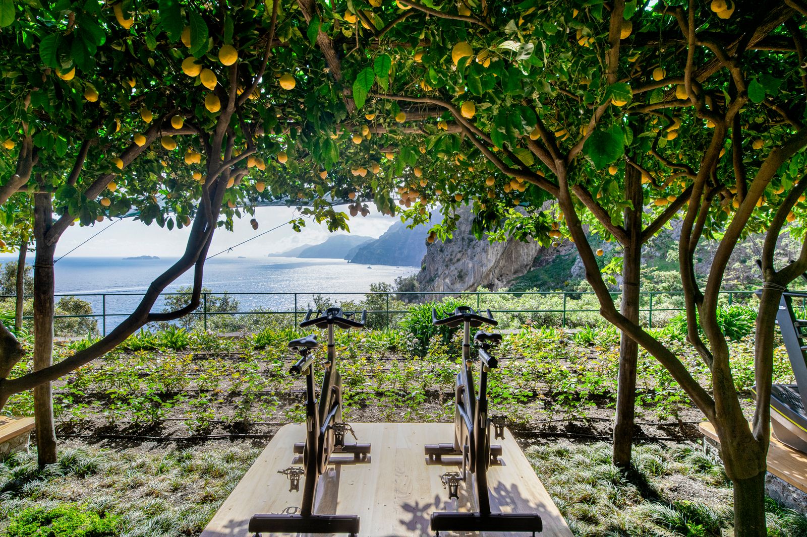 Image may contain Nature Outdoors Scenery Plant Vegetation Fitness Pilates Sport and Working Out