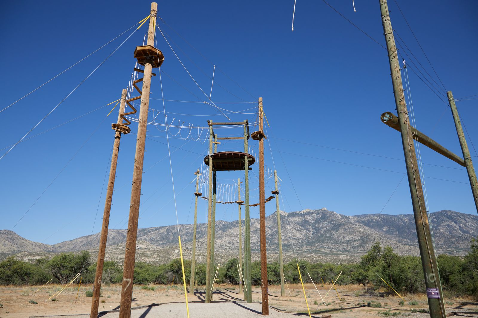 Image may contain Utility Pole