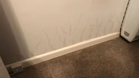 JEAN BELL Damp patches on a light coloured wall. A brown carpet is in the foreground, with a white skirting board running diagonally from bottom left of the frame to the middle of the right hand side of the image. Snaking up from the skirting board are sporadic darker patches of wall. The side of a storage heater attached to the wall is visible on the right. A telephone point can be seen attached to the skirting board on the bottom left of the picture.