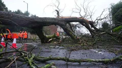 PA Media A fallen tree blocks Hall Lane in Houghton-le-Spring