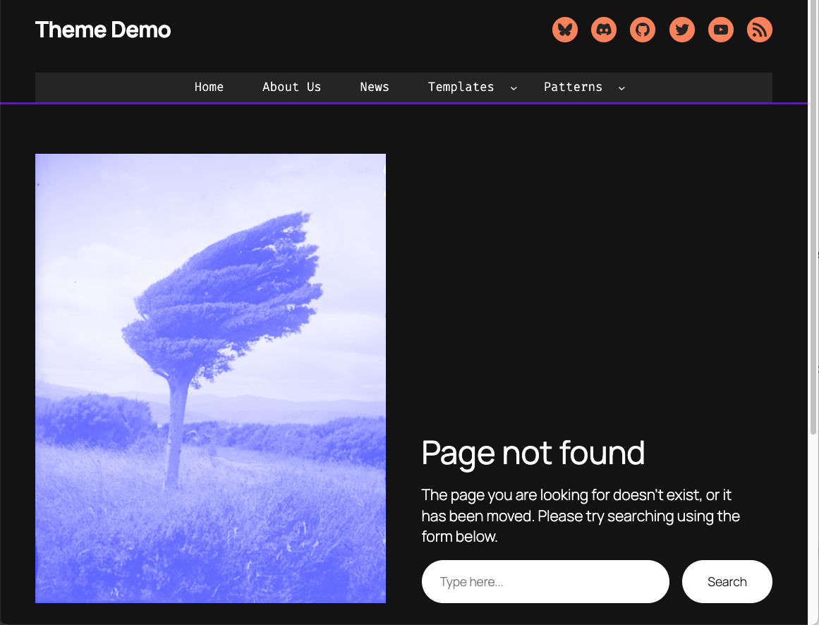 Example theme demo 404 error page.