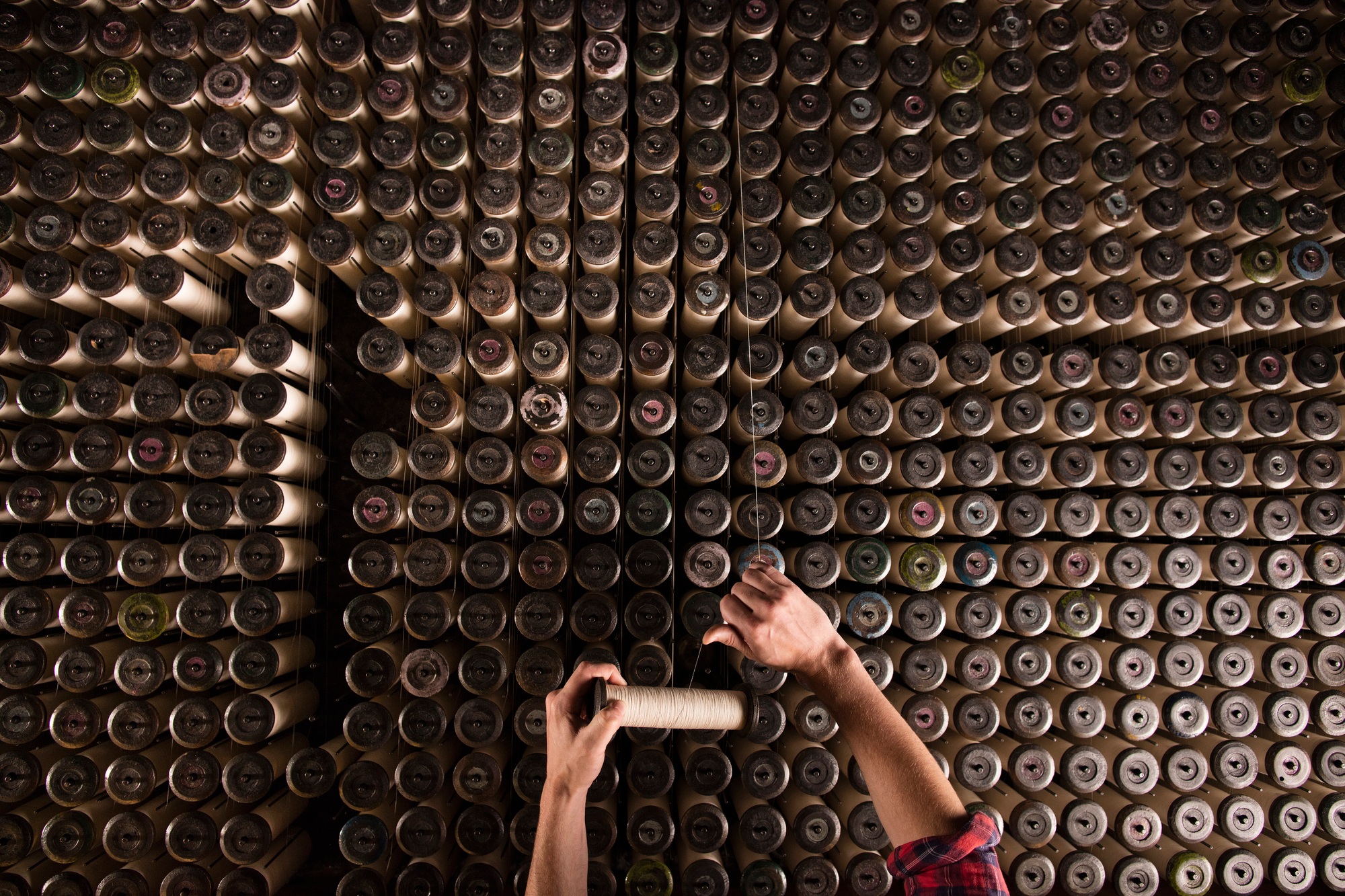 Hands selecting a can from a massive wall of canned goods.