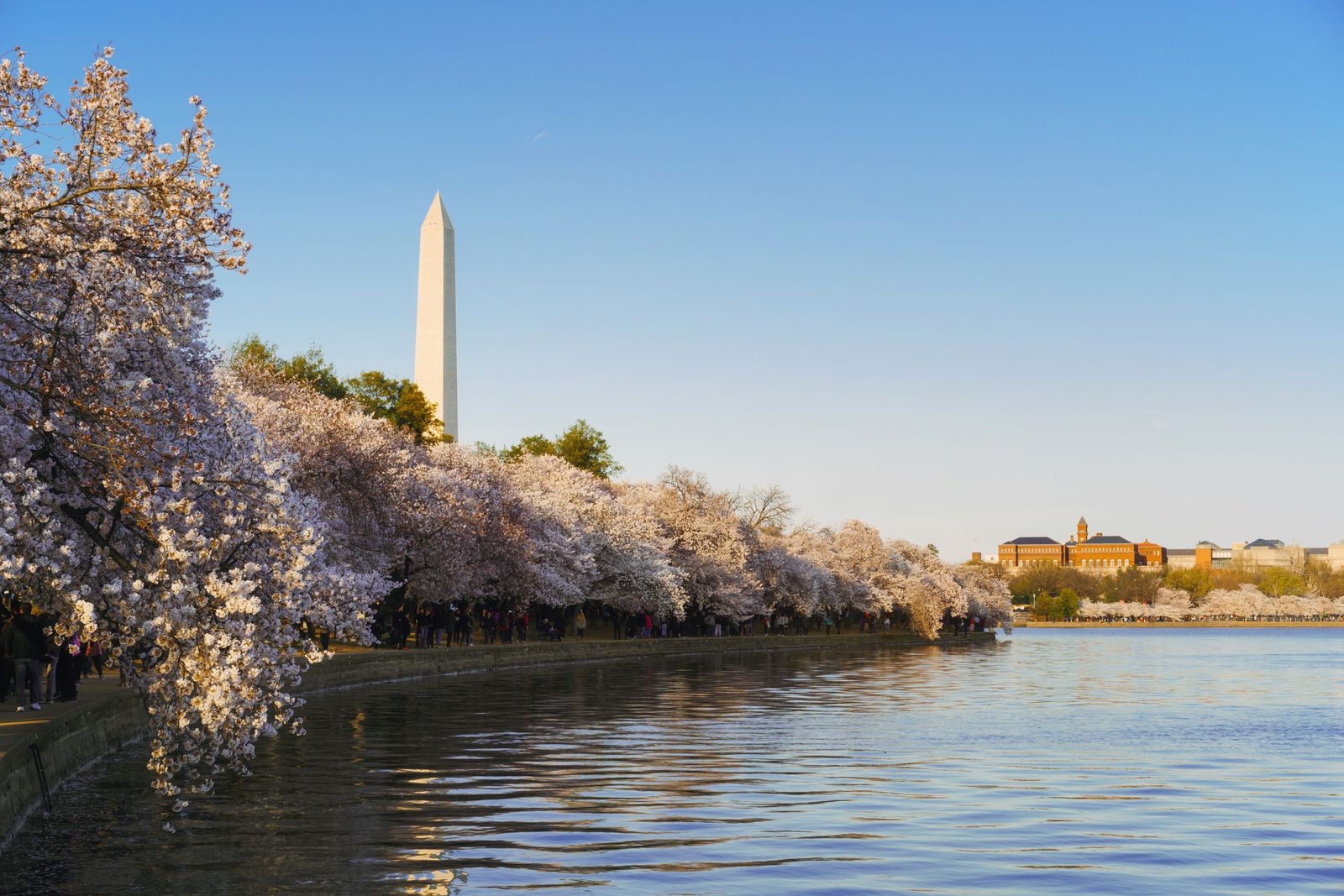 Image may contain Architecture Building Landmark Tower Washington Monument and Person