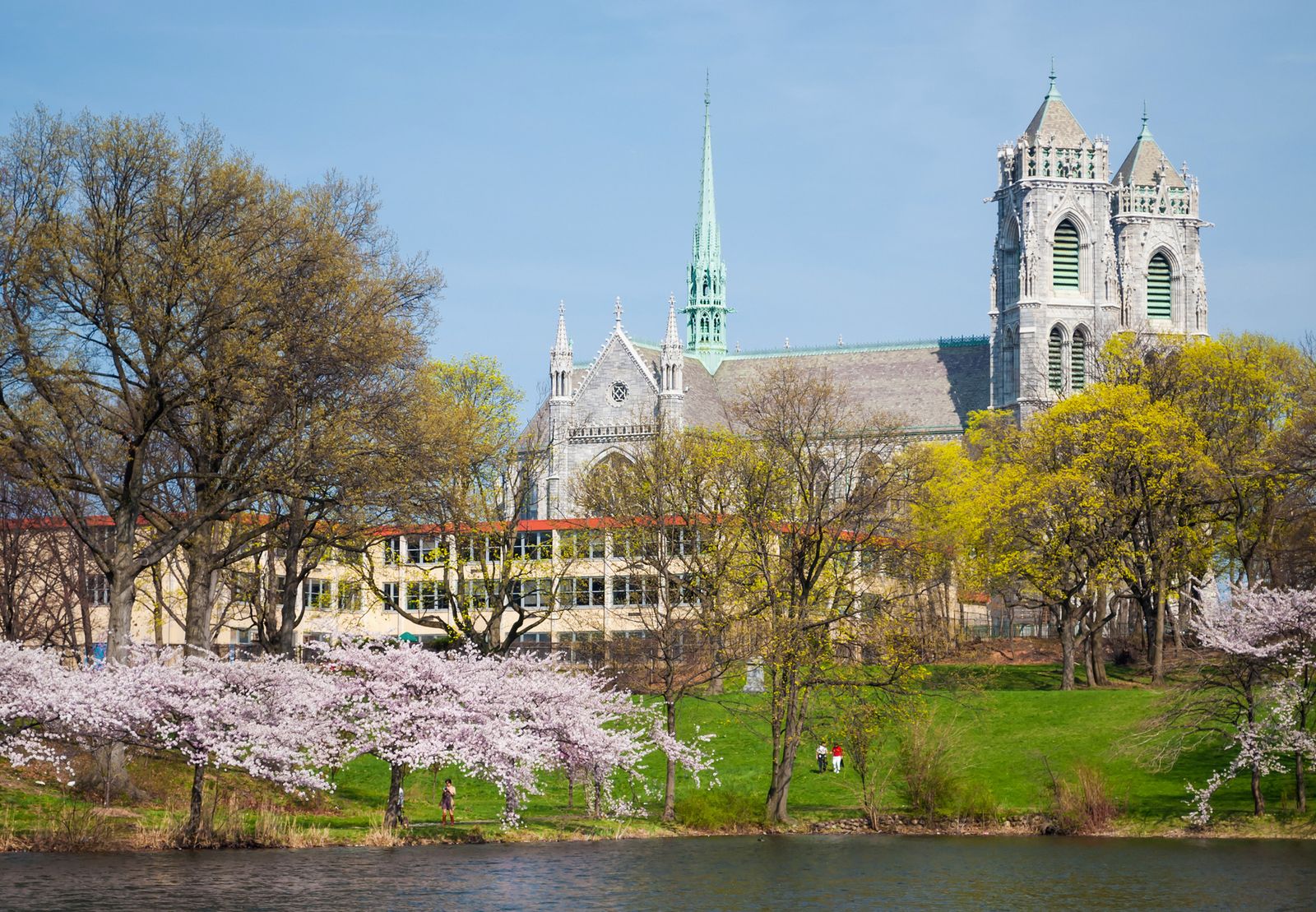 Image may contain Architecture Building Spire Tower Arch Cathedral Church Gothic Arch Grass Plant and Person