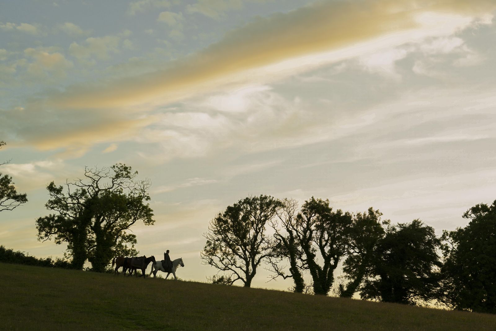 Image may contain Plant Tree Landscape Nature Outdoors Grass Oak Field Grassland Sky Vegetation Person and Park