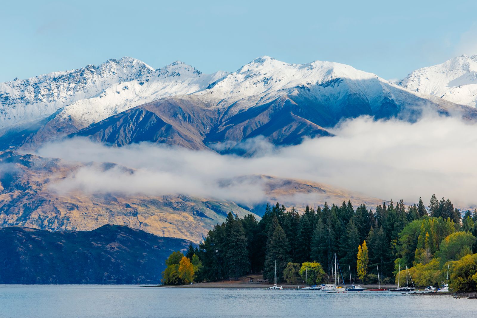 Image may contain Nature Outdoors Scenery Plant Tree Lake Water Landscape Fir Boat Transportation and Vehicle
