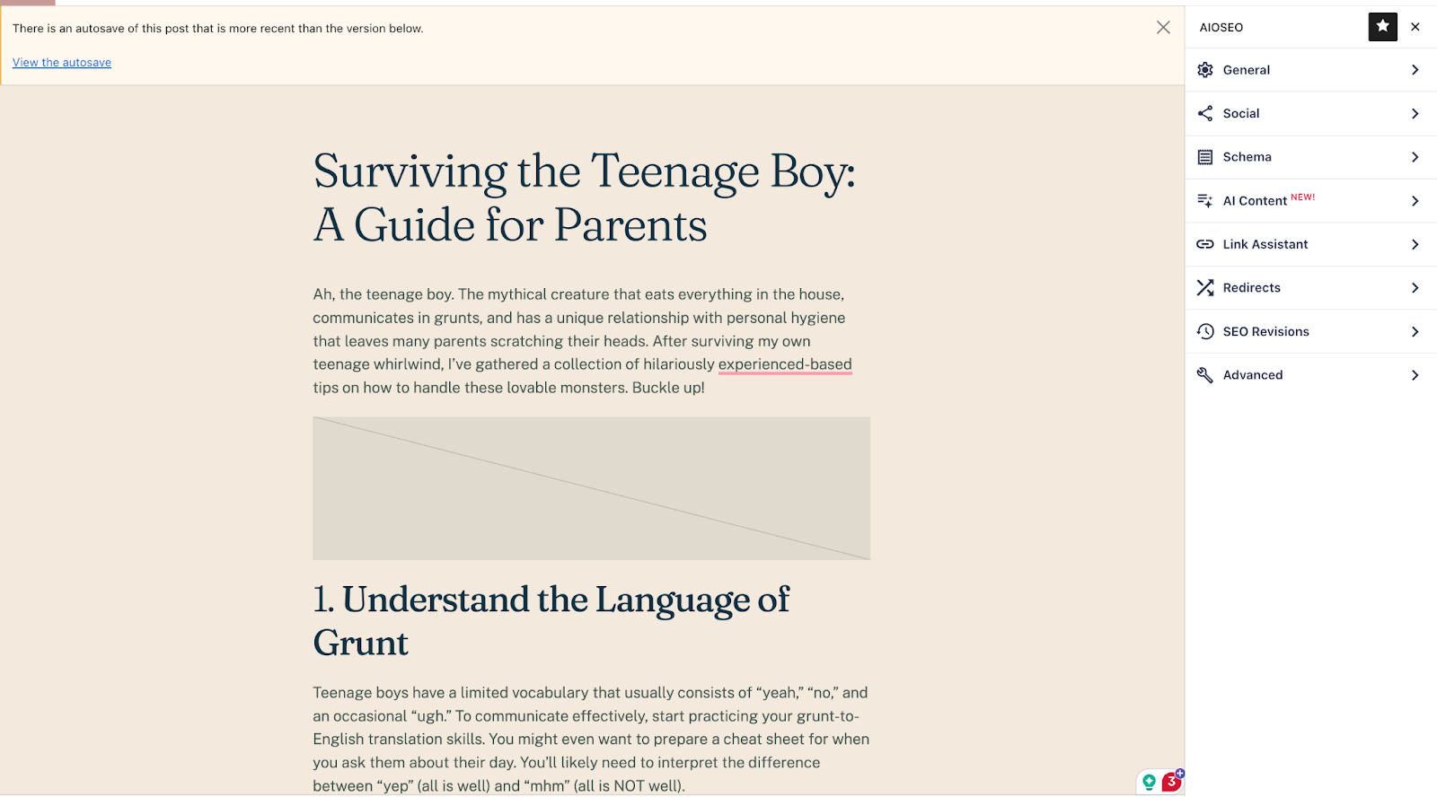 Screenshot of the All in One SEO plugin.
