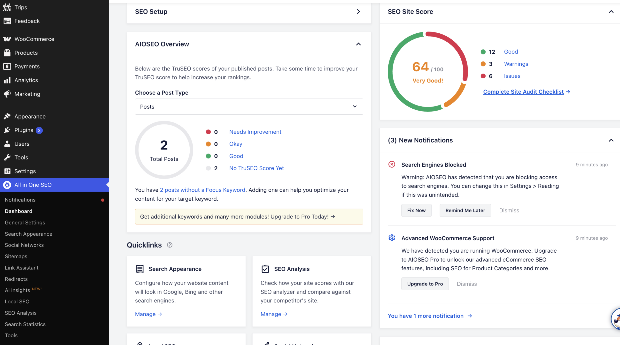 Screenshot of the All in One SEO plugin.
