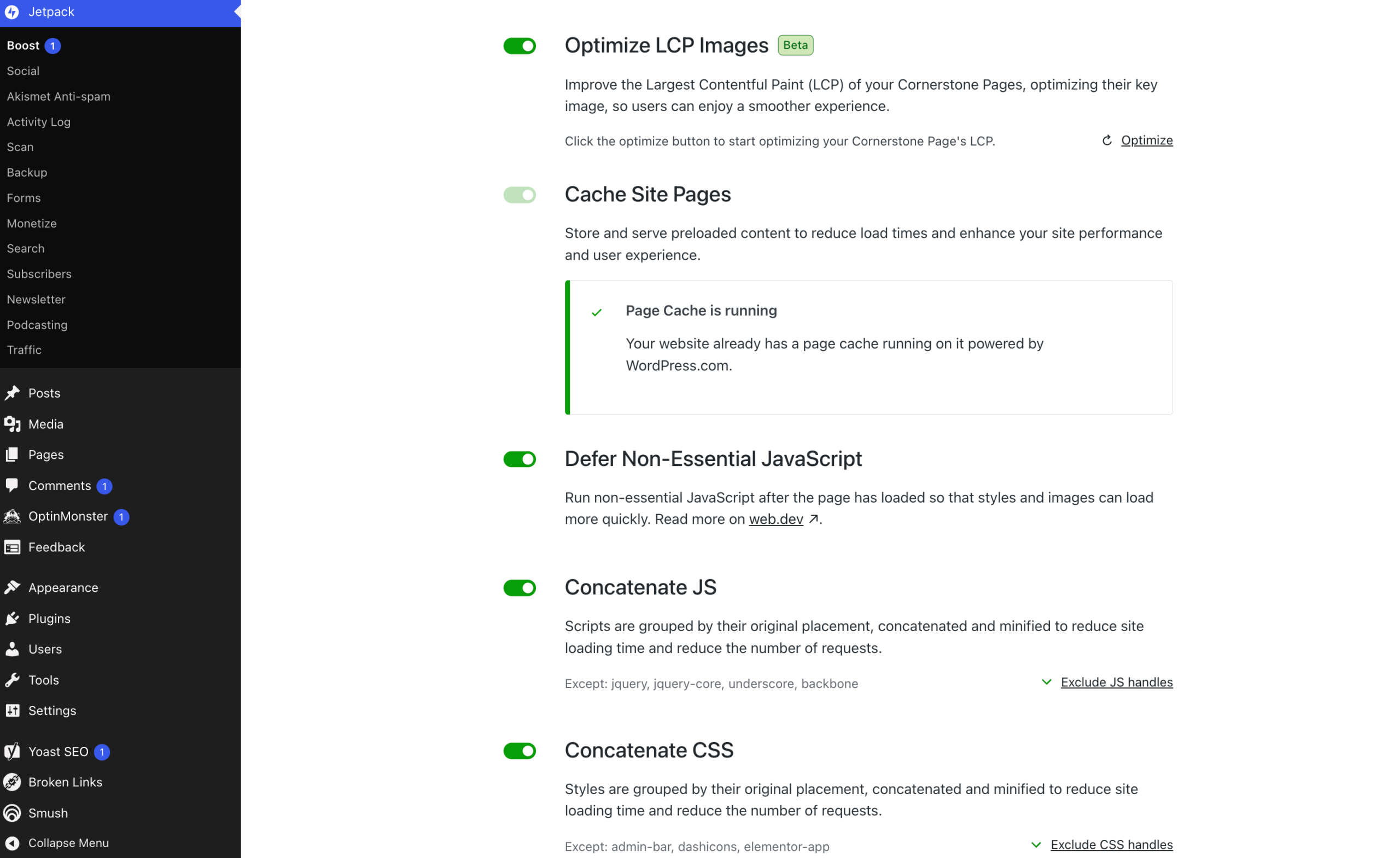 Screenshot of the Jetpack Boost plugin.