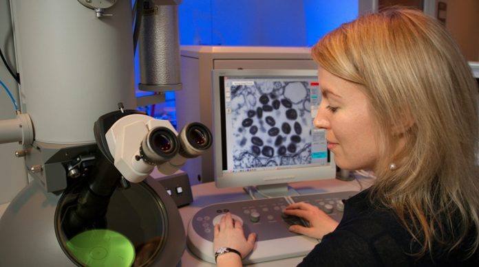 Female academic entrepreneurs face not reaching spinout parity with men until 2060 Female academic entrepreneurs face not reaching spinout parity with men until 2060