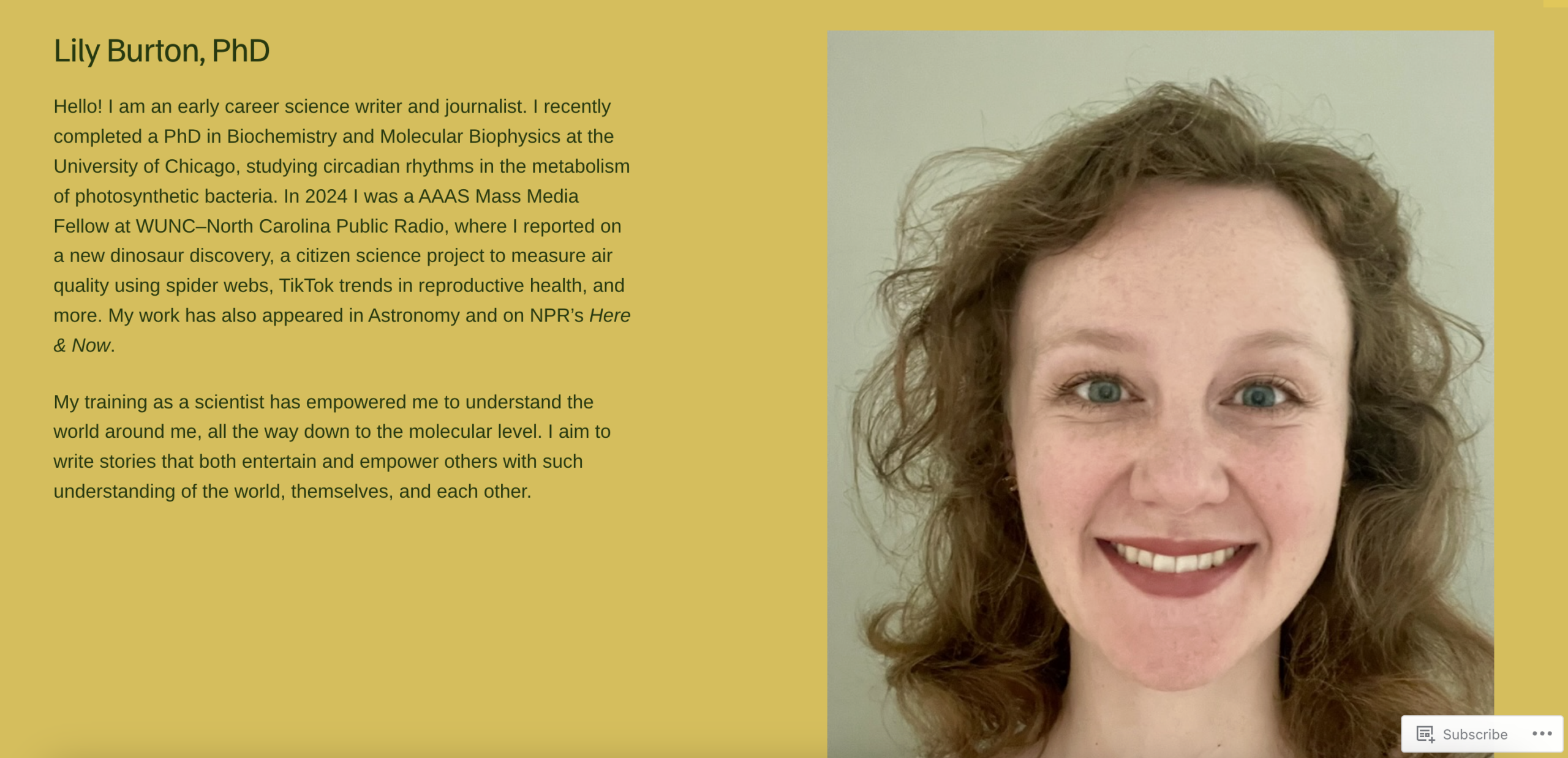 Screenshot of the WordPress Portfolio Website About Me Section.