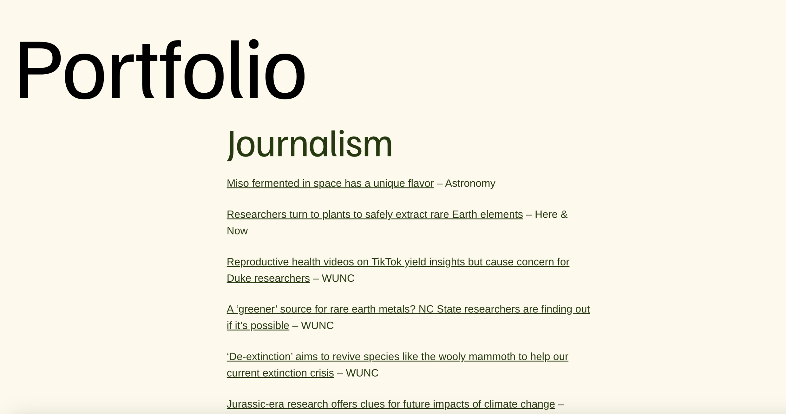 Screenshot of the WordPress Website Portfolio Section.