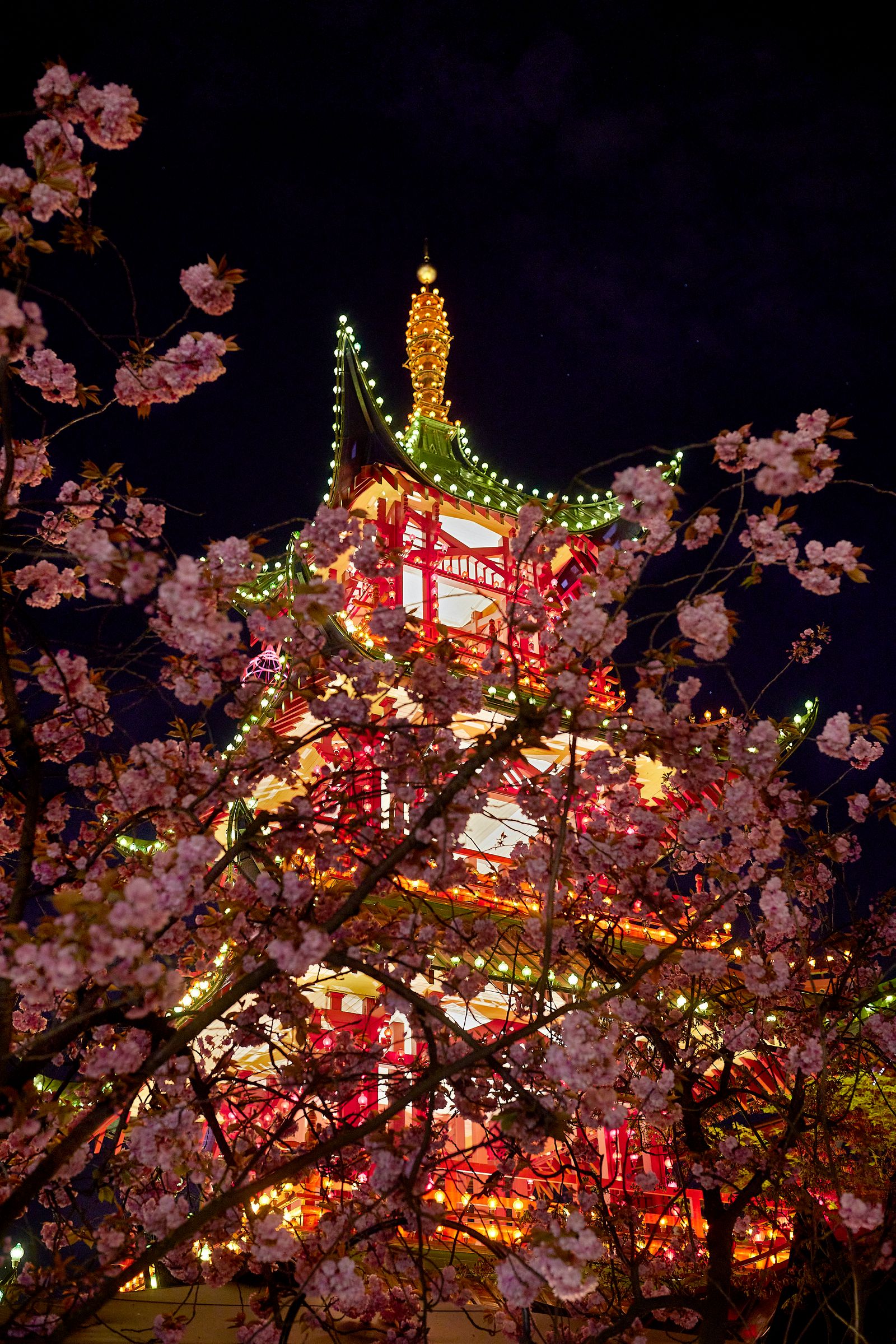 Image may contain Architecture Building Flower Plant and Lighting
