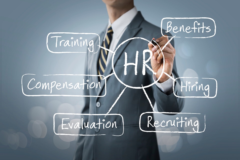 11 HR software tools ideal for small businesses 11 HR software tools ideal for small businesses
