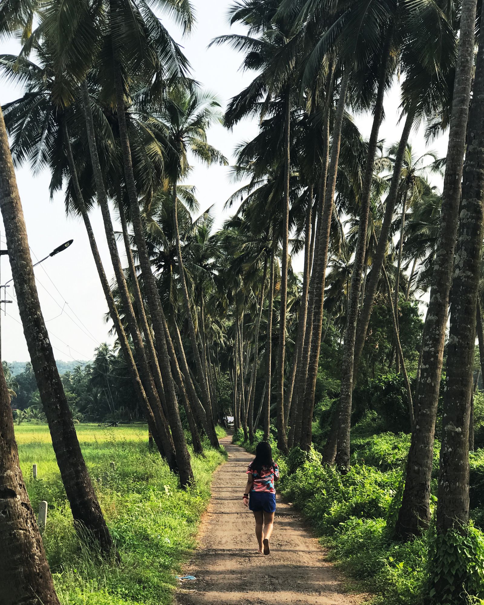 Image may contain Person Walking Plant Vegetation Outdoors Nature Clothing and Shorts