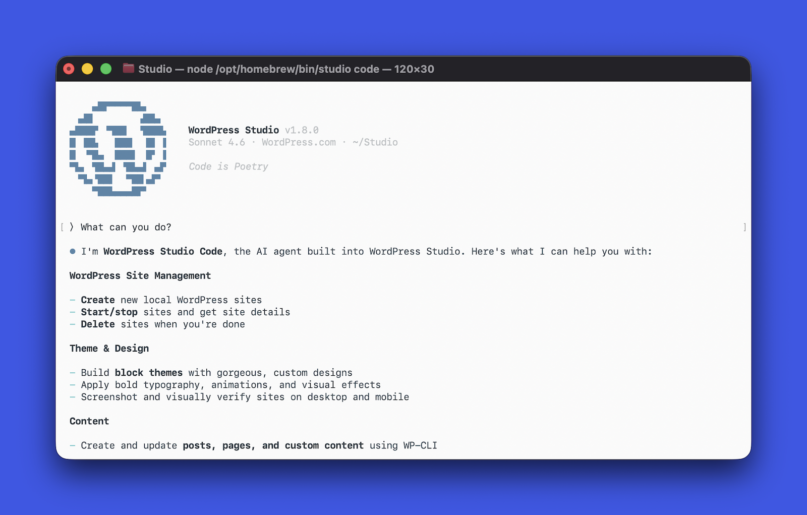 A terminal window with Studio Code open and a prompt saying "What can you do?" and the agent's response