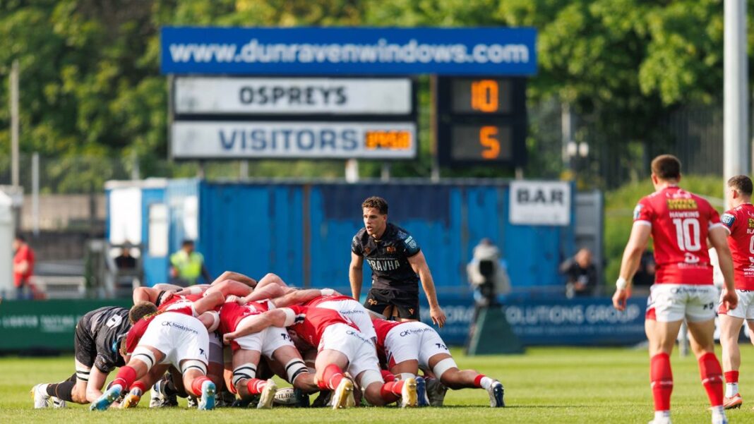 Ospreys v Scarlets player ratings as unheralded prop shines alongside Jac Morgan Ospreys v Scarlets player ratings as unheralded prop shines alongside Jac Morgan