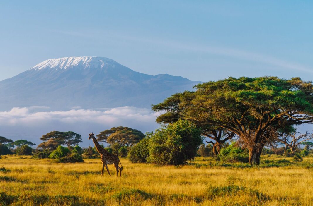 What Travelers to East Africa Should Know About the Ebola Outbreak What Travelers to East Africa Should Know About the Ebola Outbreak