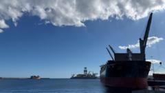 Tenerife medics poised for arrival of virus-hit cruise ship Tenerife medics poised for arrival of virus-hit cruise ship