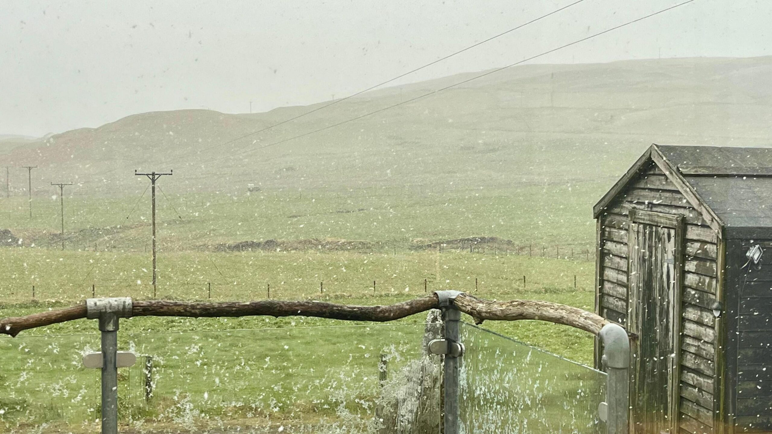 Snowflakes falling across a green landscape, with a shed and glass fence in the foreground