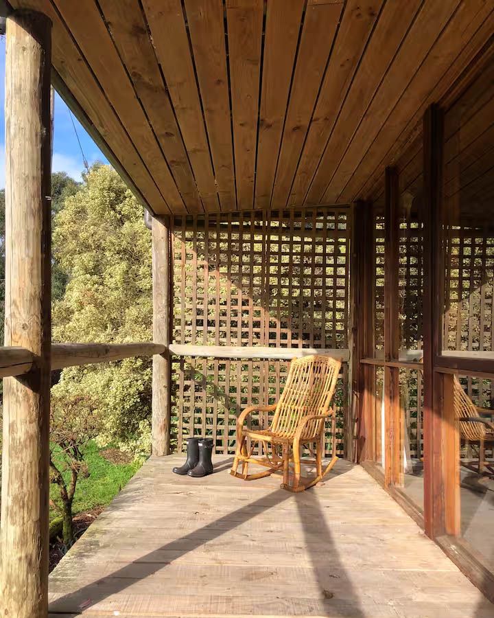 Image may contain Indoors Interior Design Chair Furniture Wood Outdoors and Nature