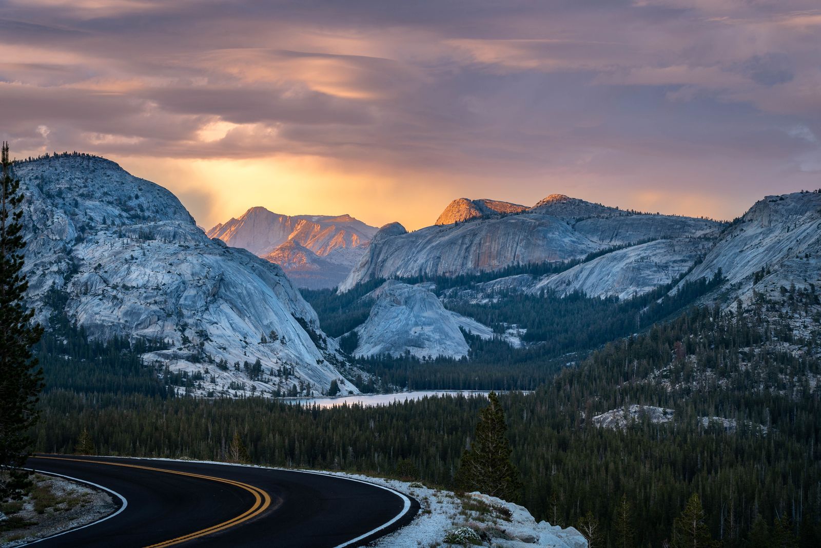 Image may contain Land Nature Outdoors Plant Tree Vegetation Woodland Scenery Road Freeway Highway Fir and Sky