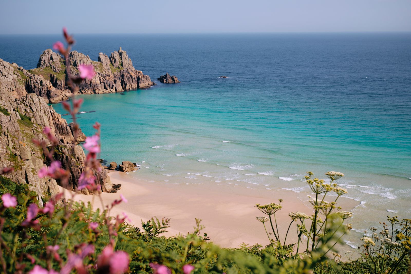 Scenic views through Pink wildflowers and cliff top flora onto the world famous Pedn Vounder Beach Cornwall towards...