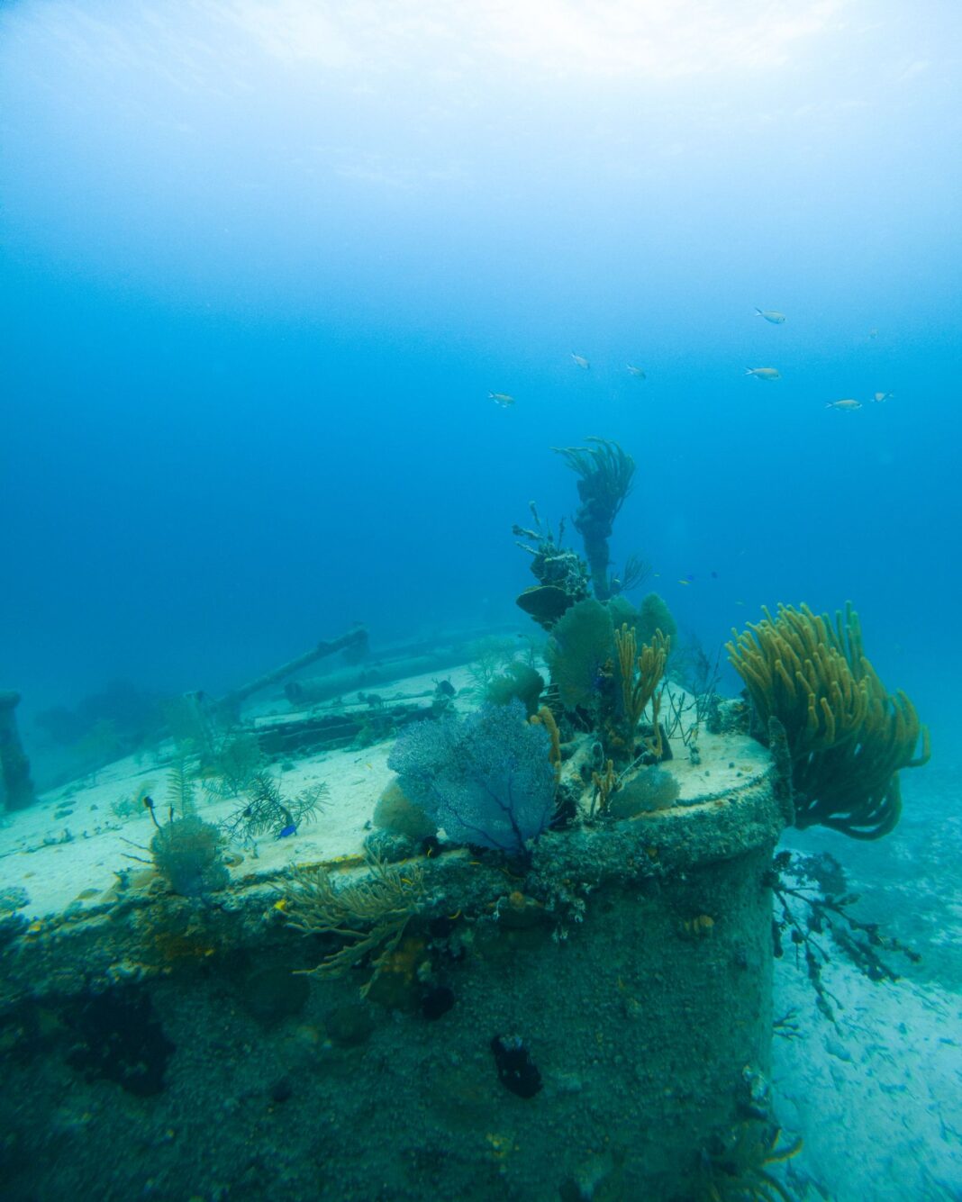 What Scuba Diving and Breathwork Taught Me About Staying Calm Under Pressure What Scuba Diving and Breathwork Taught Me About Staying Calm Under Pressure