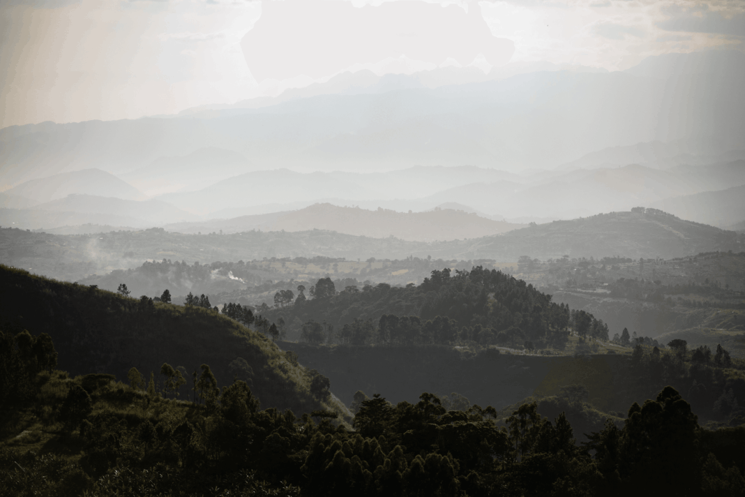 In Uganda, The Gorillas Are Only Part of The Appeal In Uganda, The Gorillas Are Only Part of The Appeal