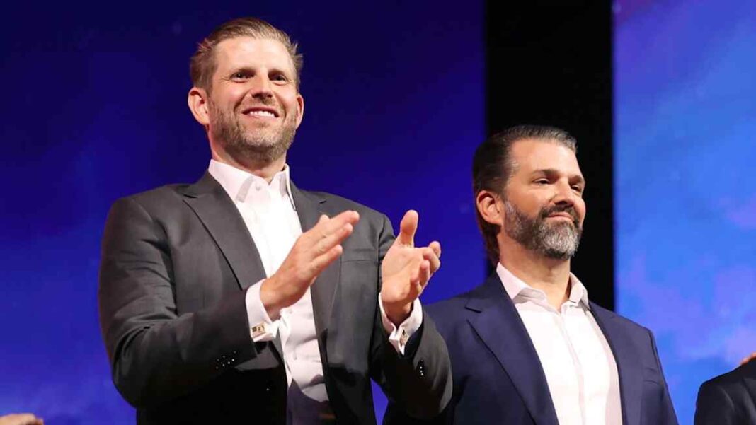 Group linked to Trump sons asks US for extra $400mn for tungsten mine Group linked to Trump sons asks US for extra $400mn for tungsten mine