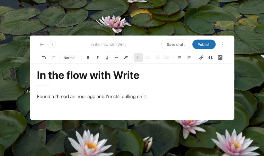 Introducing Write: a new way to post, built for writers Introducing Write: a new way to post, built for writers