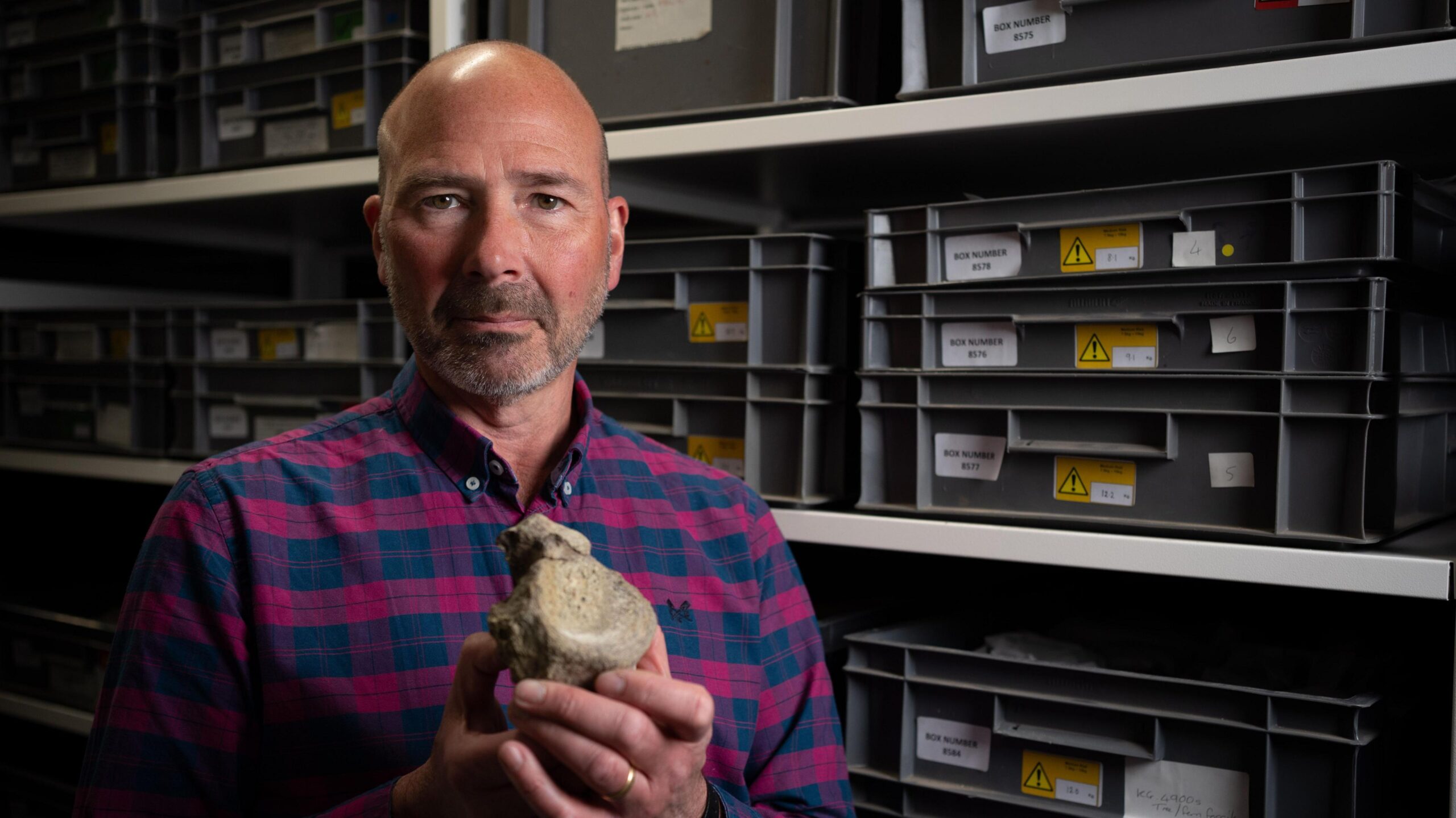 A bald headed man with a grey beard and moustache and wearing a red and blue checked shirt is looking into the camera. He is holding the fossilised vertebrae of the Titanosaur close to his chest with both hands. Behind him are three levels of light grey shelves with rows of dark grey boxes stacked up in columns of three. Each one has several yellow and white labels with their catalogue numbers.
