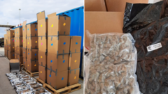 Three arrested after record-breaking £139m cannabis seizure Three arrested after record-breaking £139m cannabis seizure