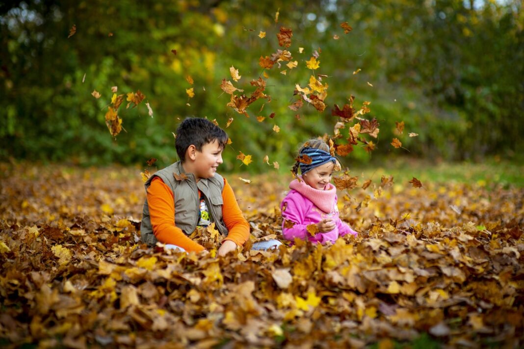 Blues Preschool Nursery: Four Decades of Community Childcare in Bishop’s Stortford Blues Preschool Nursery: Four Decades of Community Childcare in Bishop’s Stortford
