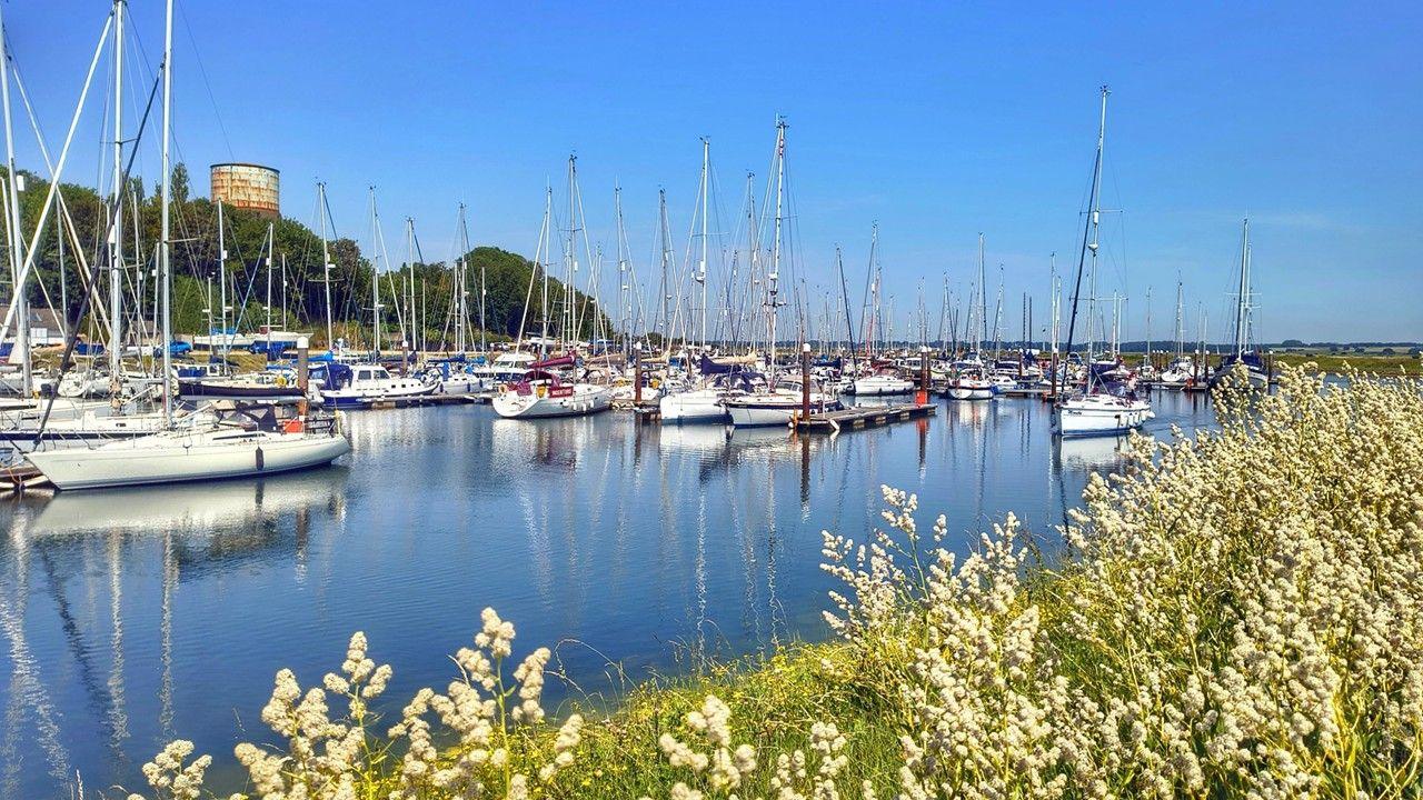 Sailing boats without sails up on very blue water on a sea inlet with white flowers on the verge to the right and trees on the land behind
