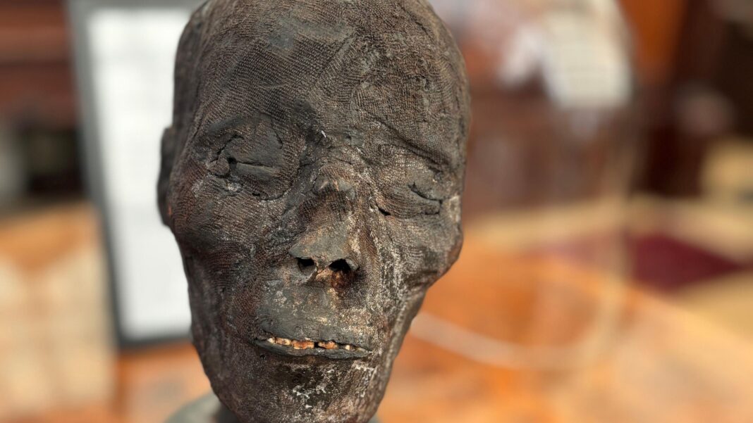 Auction house criticised over sale of 3,000-year-old mummy head Auction house criticised over sale of 3,000-year-old mummy head